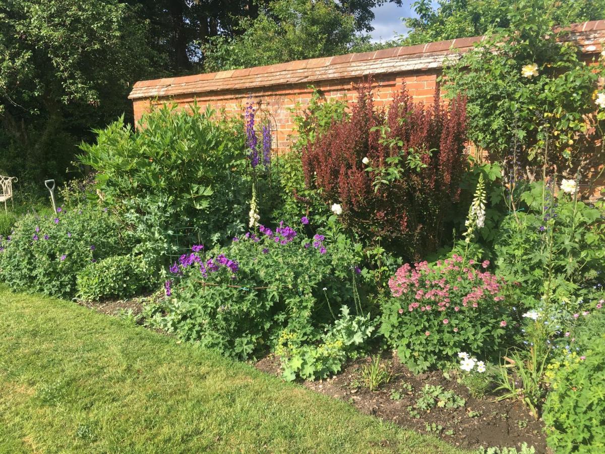 Garden Cottage B&b Penton Mewsey Buitenkant foto
